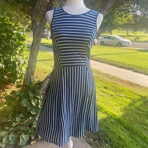Banana Republic size 4 sleeveless blue and white striped skater dress.